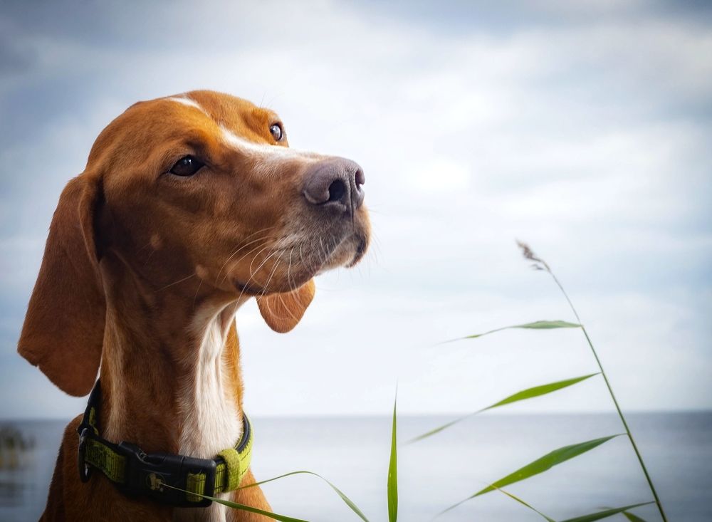 Photograph by Татьяна