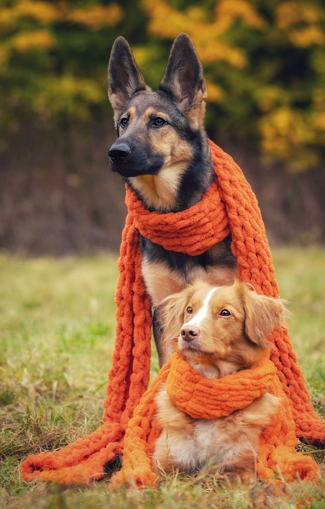 Photograph by Татьяна