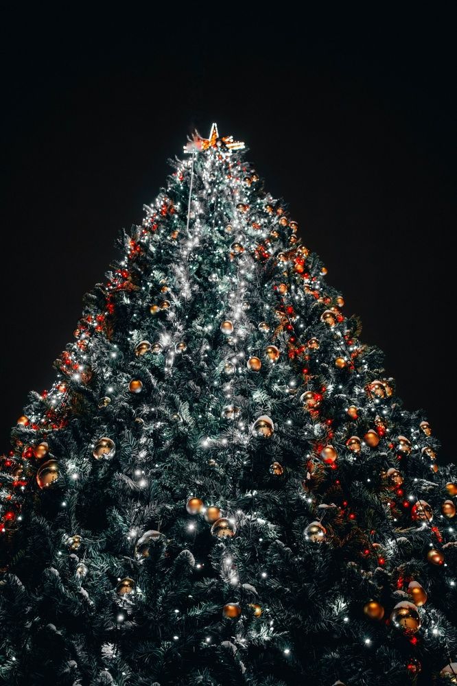 Фотография автора Алина Руденко