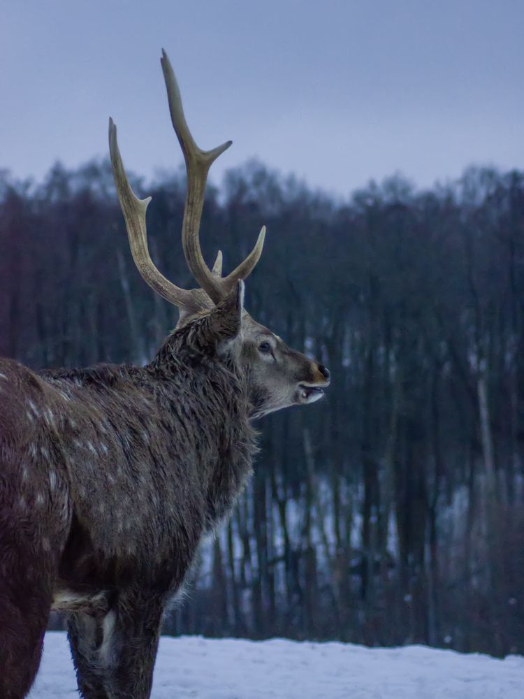 Photograph by Ольга Заповедная