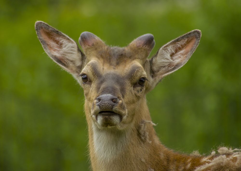 Photograph by Ольга Заповедная