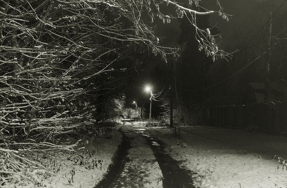 Photograph by Леонид Шнейдерман