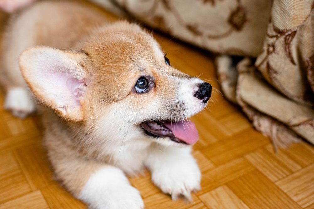 Фотография автора Станислава Гордеева