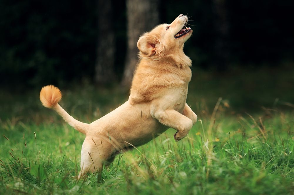 Photograph by Дарья Ералева