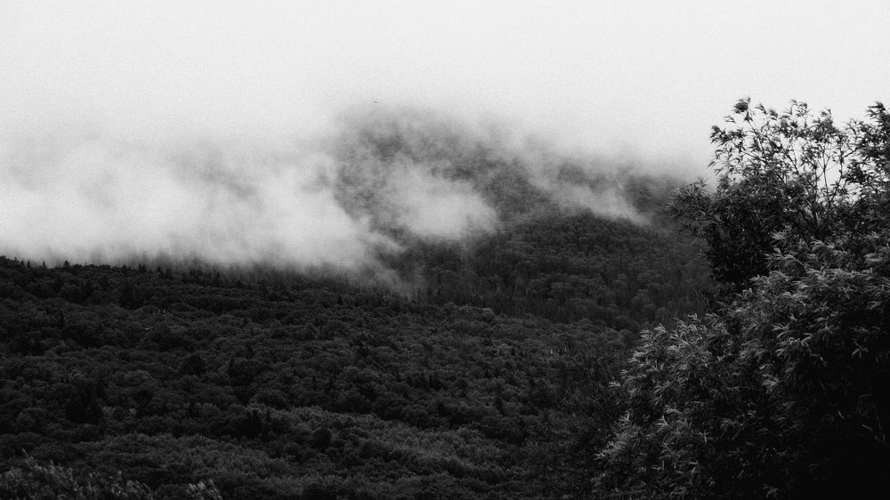 Photograph by Анастасия Костылева