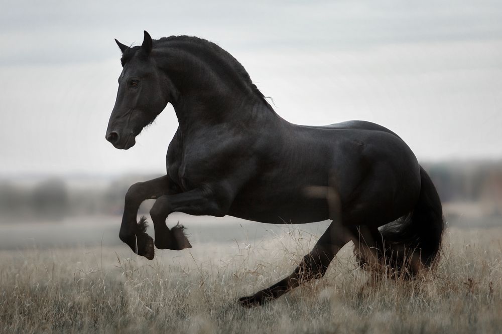 Photograph by Дарья Ералева