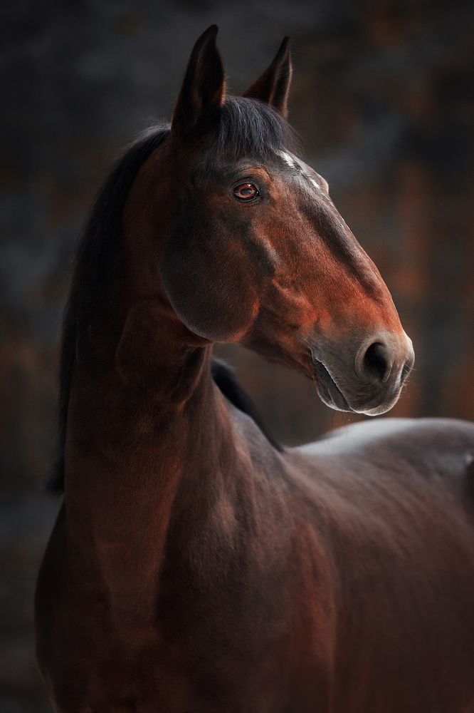 Фотография автора Дарья Ералева