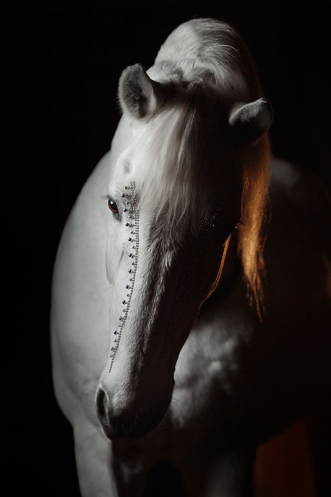 Фотография автора Дарья Ералева