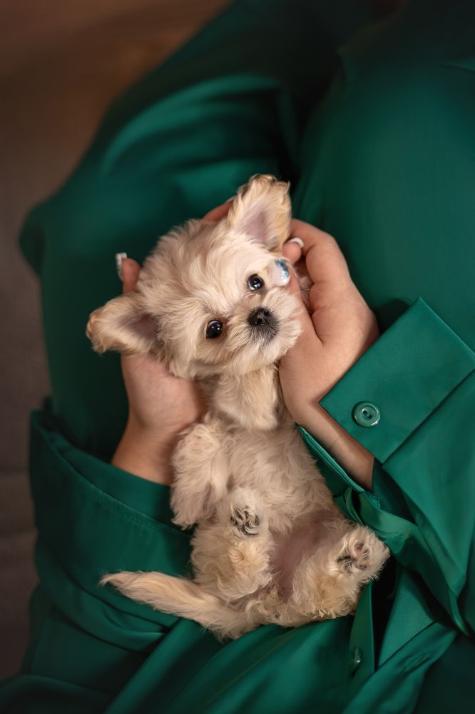 Photograph by Ирина Голомб