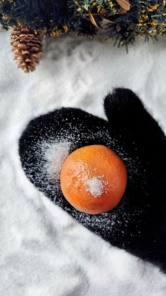 Photograph by Ольга Терскова