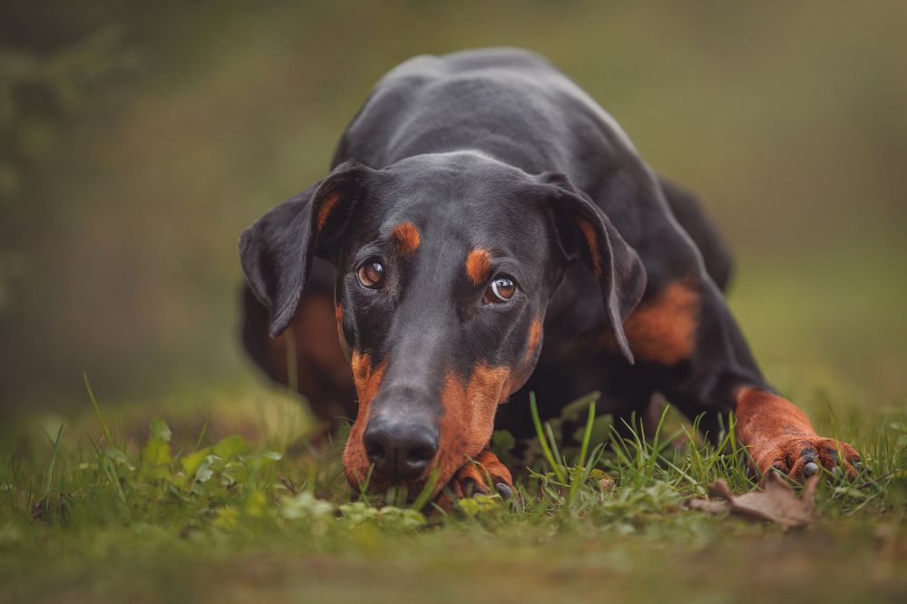Photograph by Яна Нарбутович