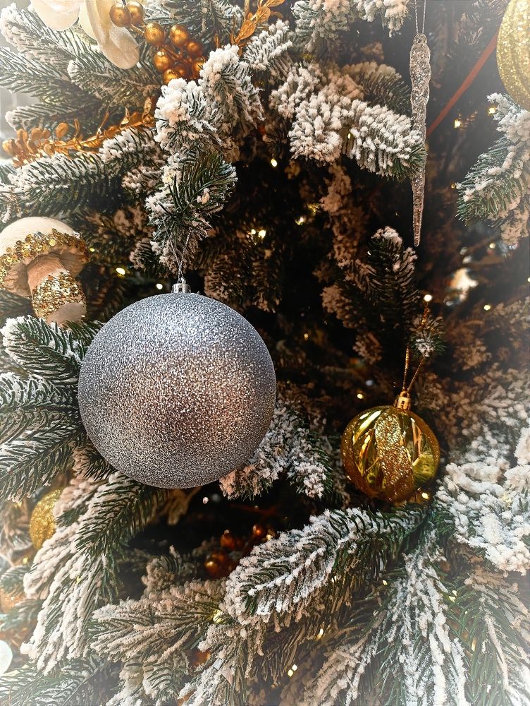 Photograph by Светлана Таркан