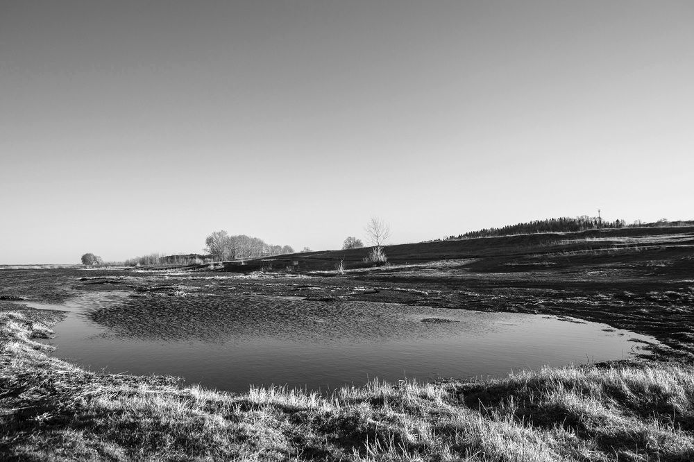 Фотография автора Андрей Рогов