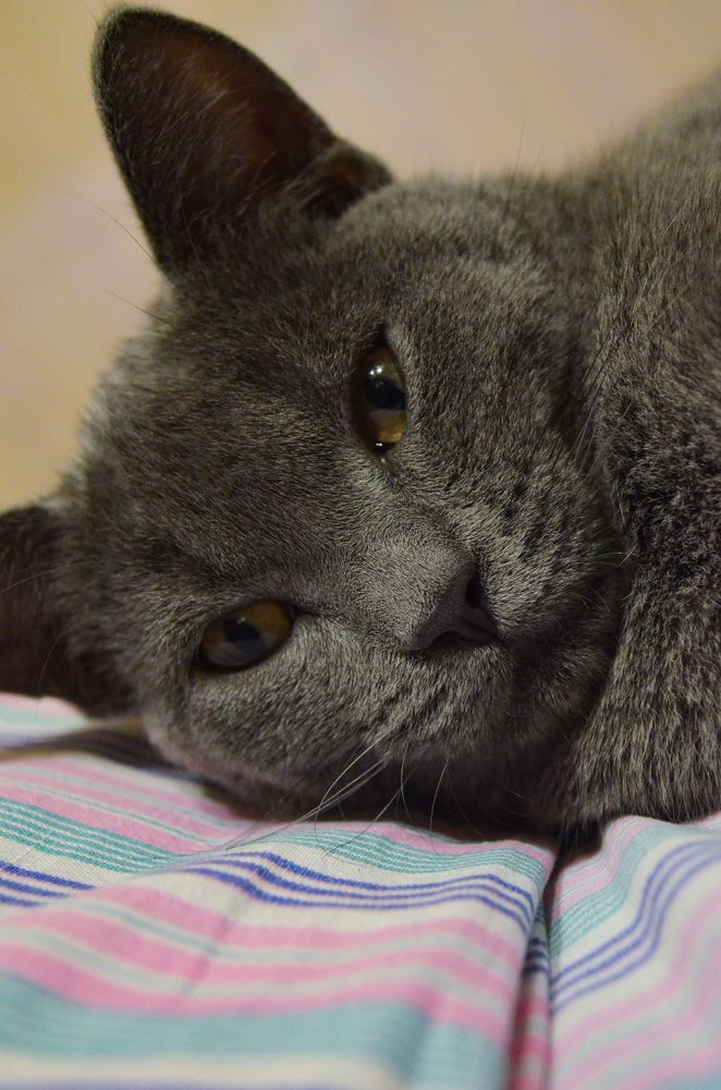 Photograph by Татьяна Герасимцева