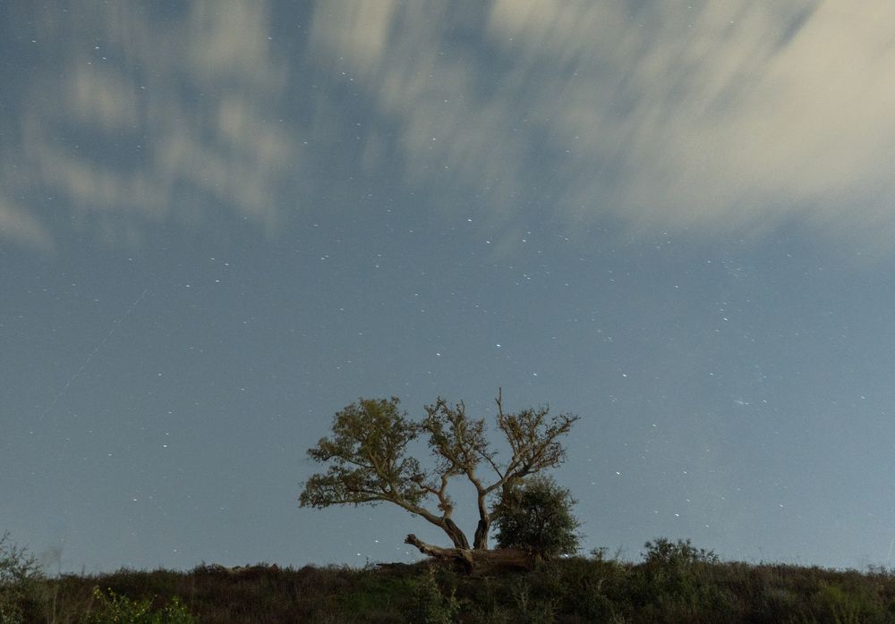 Photograph by David Dores