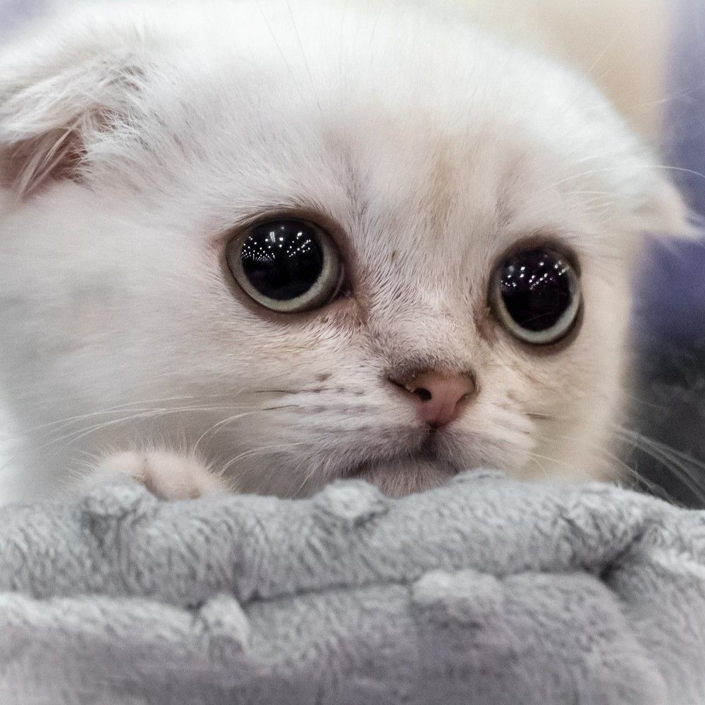 Photograph by Анна Стрелковская