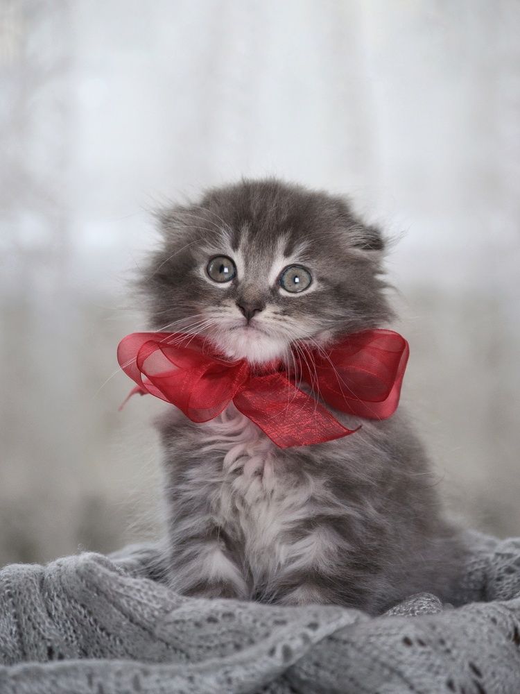 Photograph by Marina Gritchina