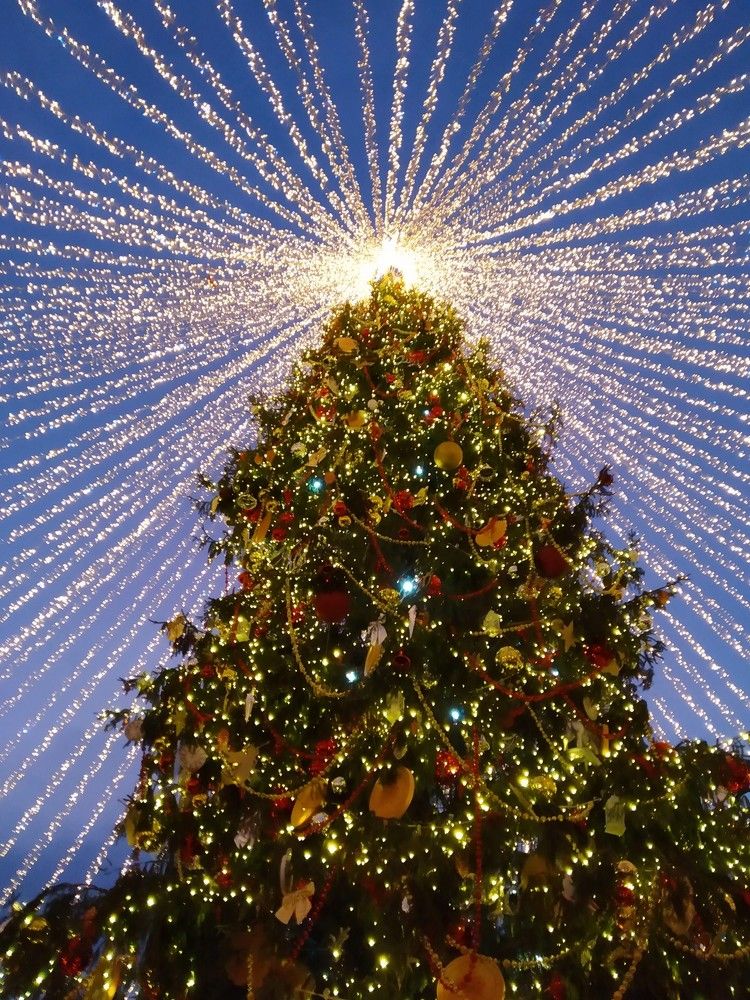 Photograph by Ия Дирко