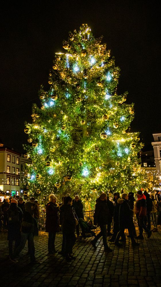 Photograph by Дима Захаров