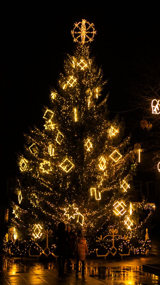 Photograph by Дима Захаров