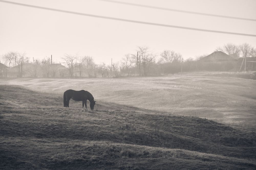 Photograph by Кристина Присакарь