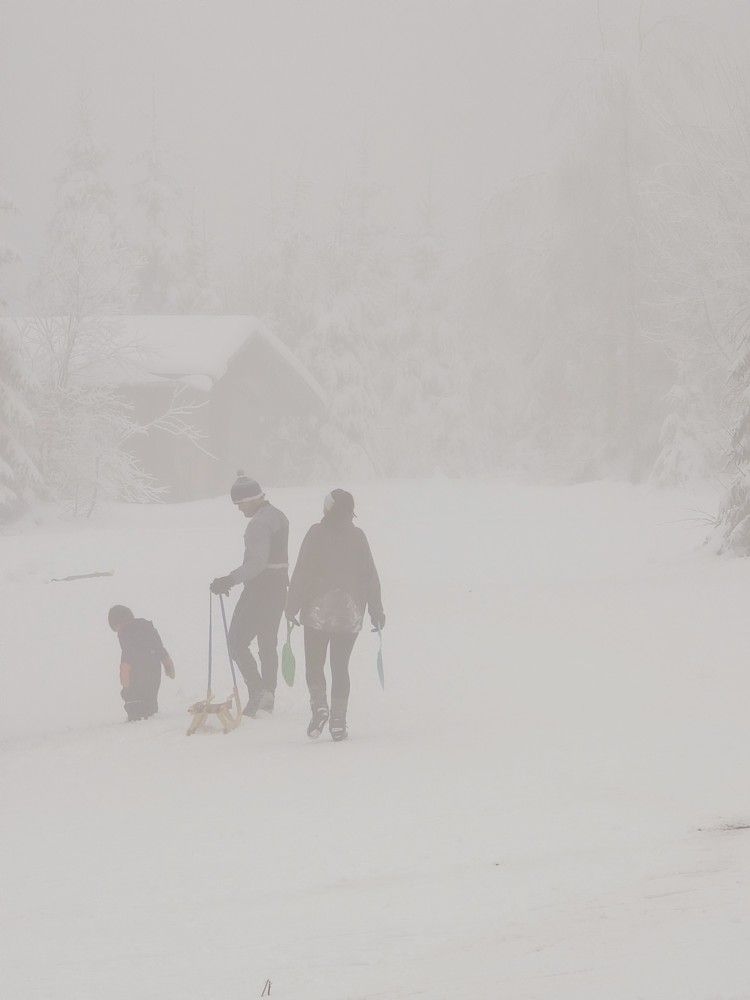 Photograph by Светлана