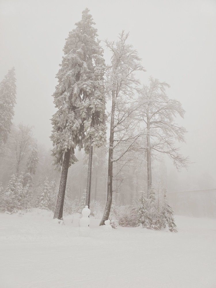 Photograph by Светлана