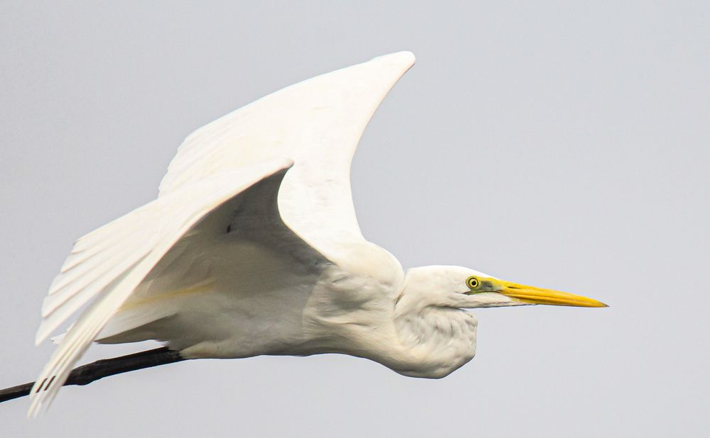 Photograph by Mathew Nishanth A