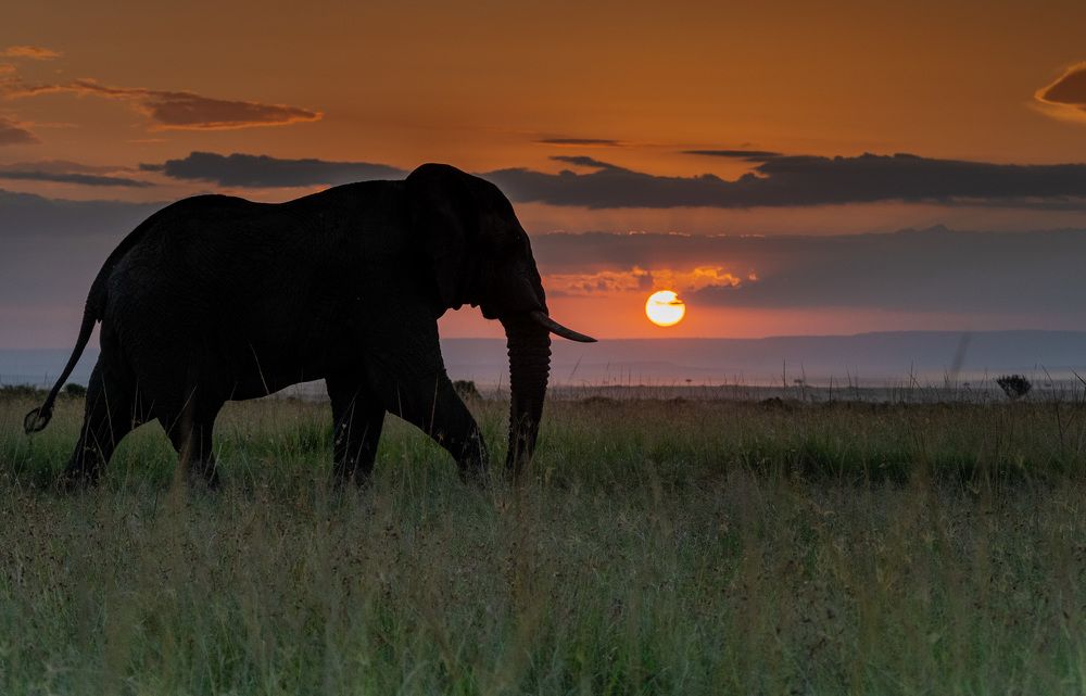 Фотография автора Sajeev Krishnan