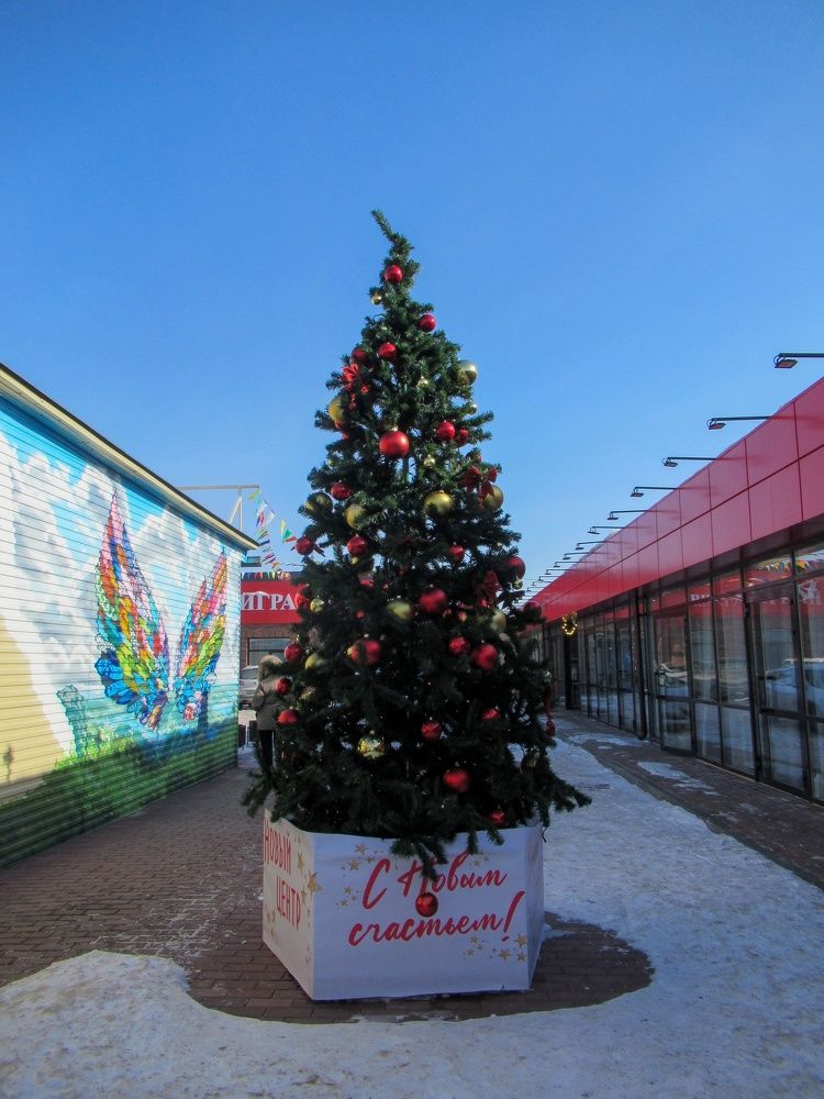 Photograph by Любовь Бусова