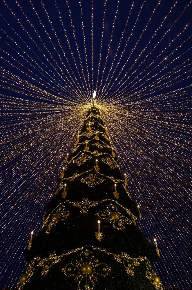 Photograph by Любовь Бусова