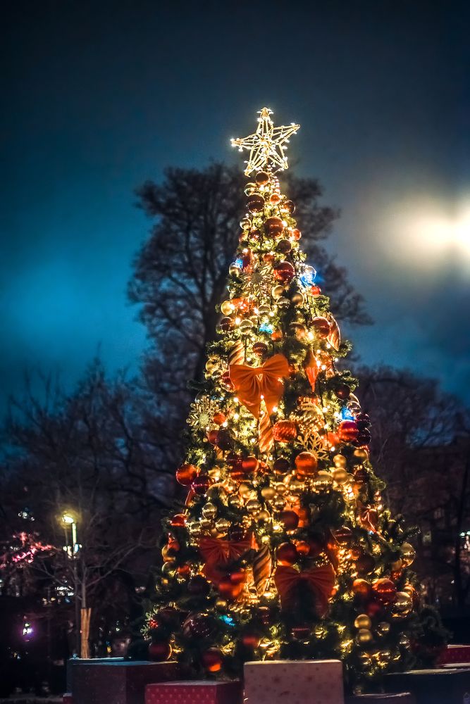 Photograph by Ксения Базарова