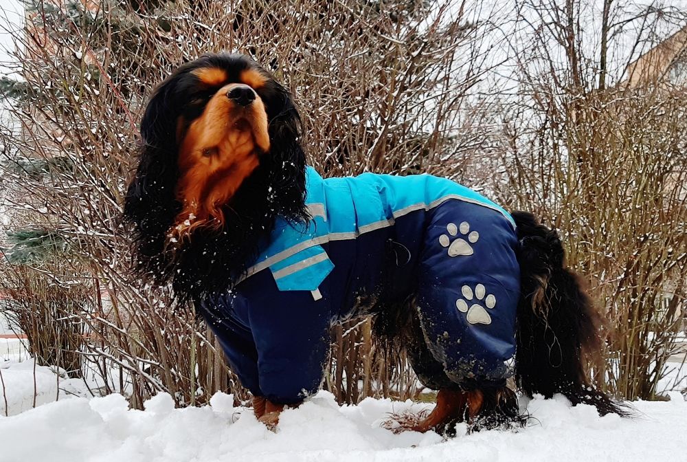 Photograph by Сергей Хохлов