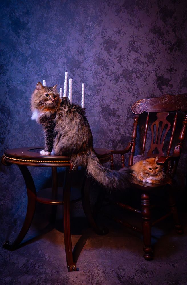 Photograph by Елена Николайчук