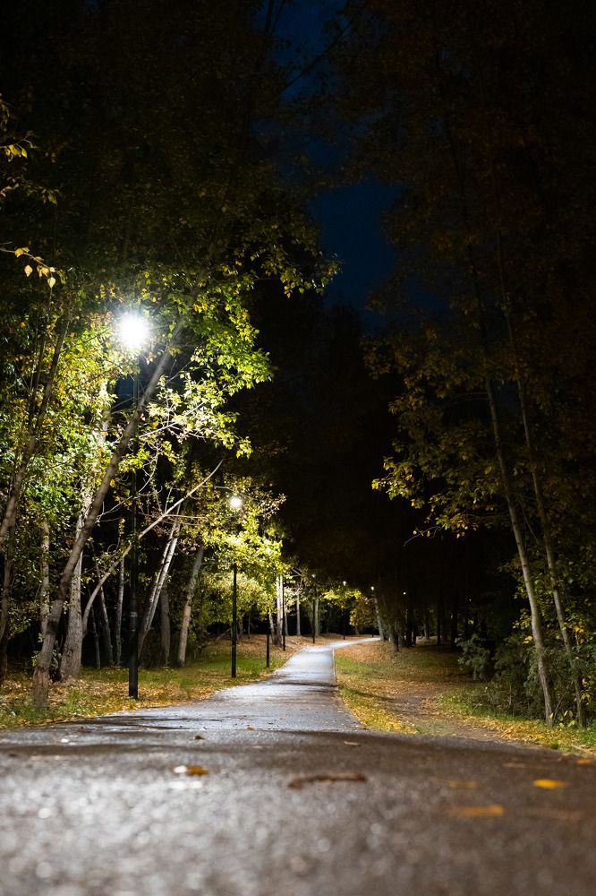 Photograph by Елена Николайчук