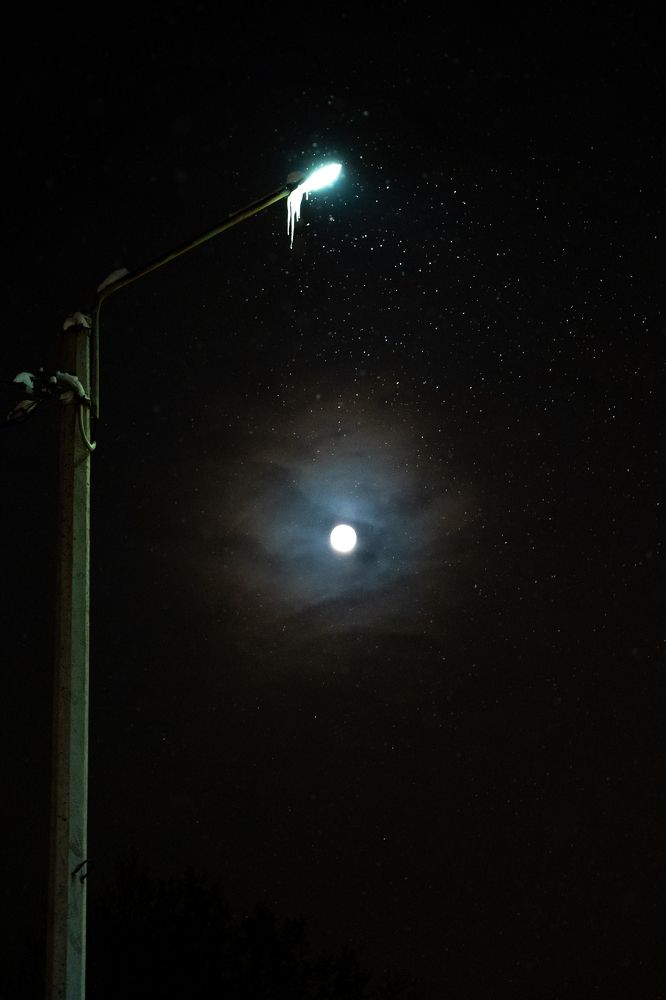 Photograph by Елена Николайчук