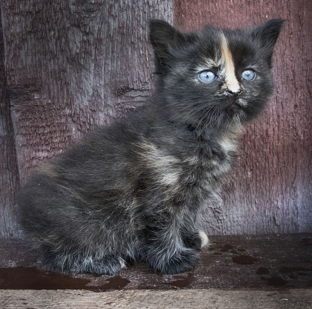 Photograph by Борис Кравецкий