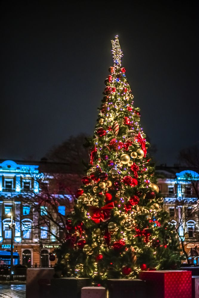 Photograph by Ксения Базарова