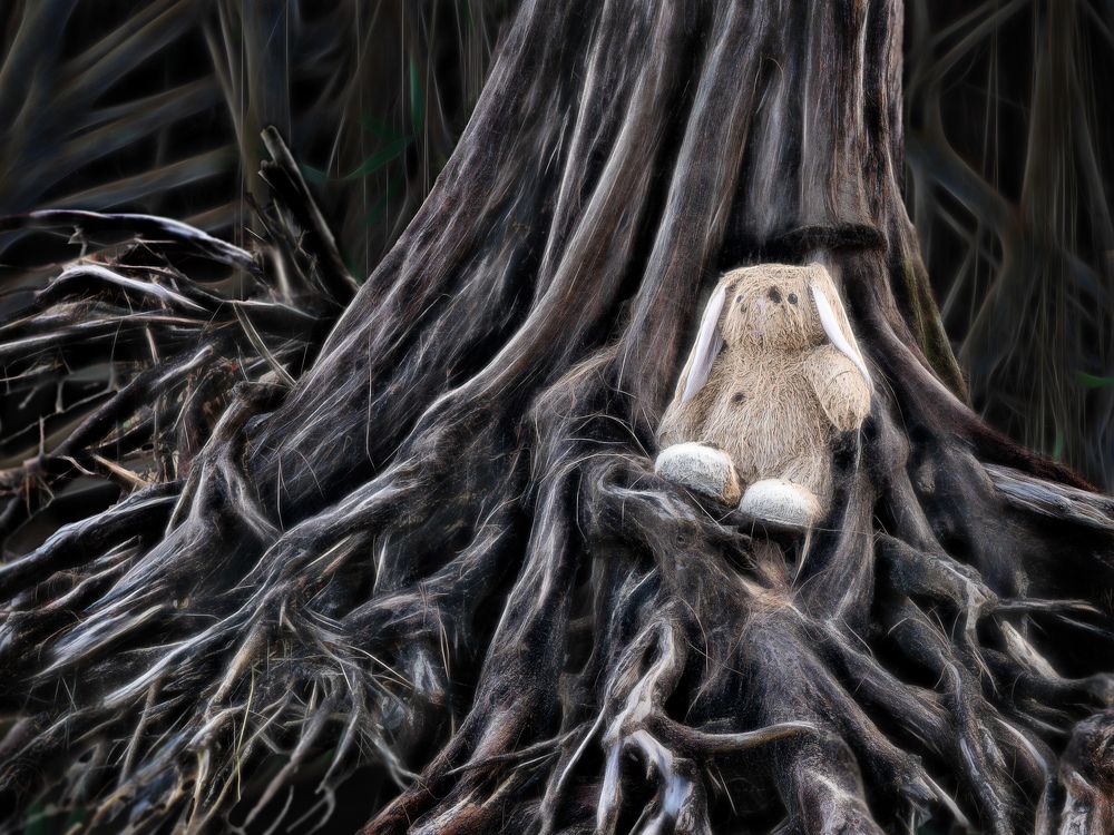 Беги, кролик! Беги!