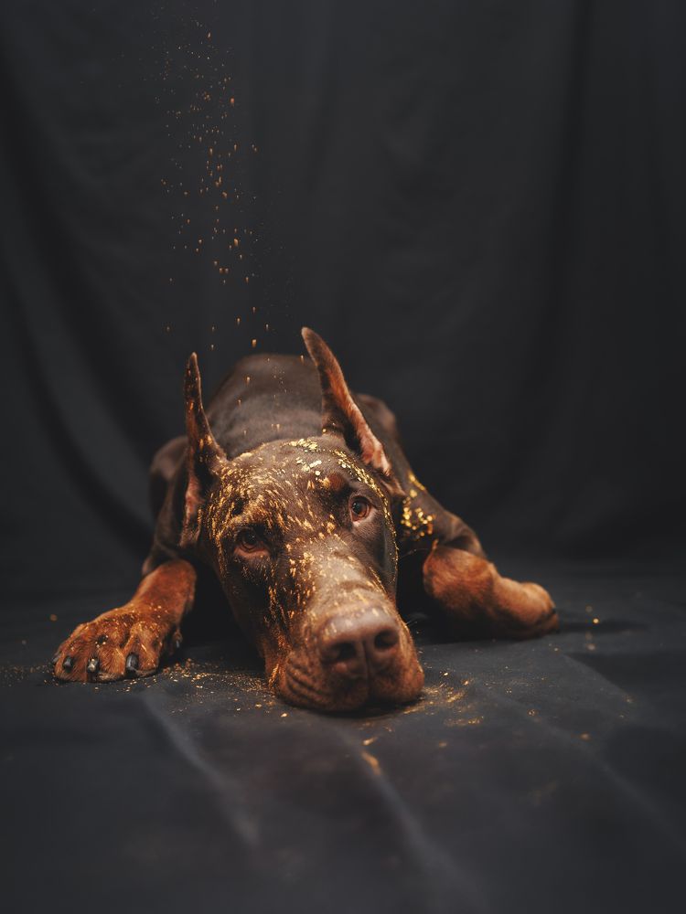 Photograph by Мария Клещенко