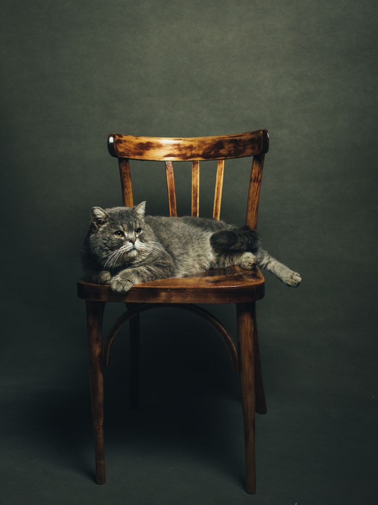 Photograph by Надежда Раскина