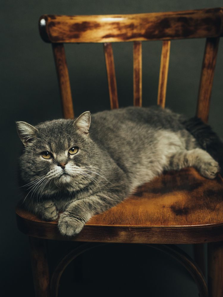 Photograph by Надежда Раскина