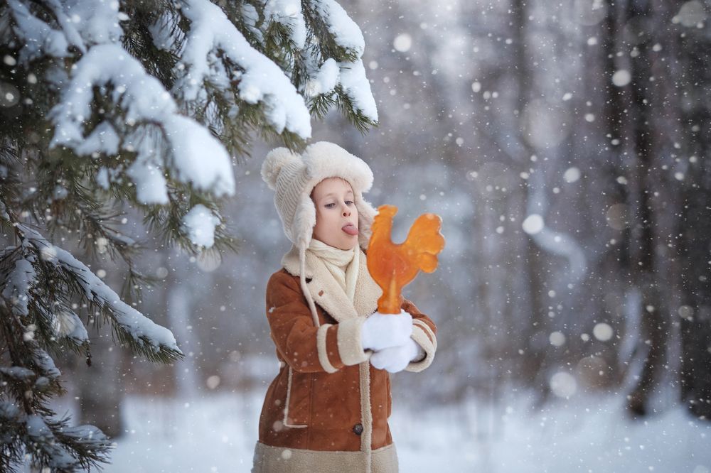 Фотография автора Тамара Дмитриева