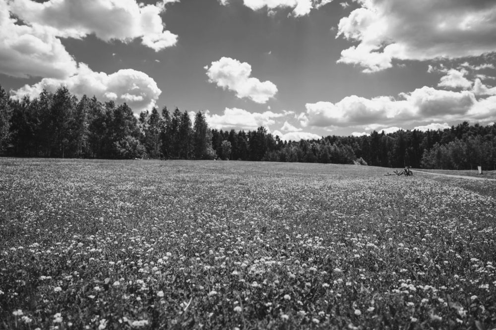 Photograph by Анастасия Жучкова