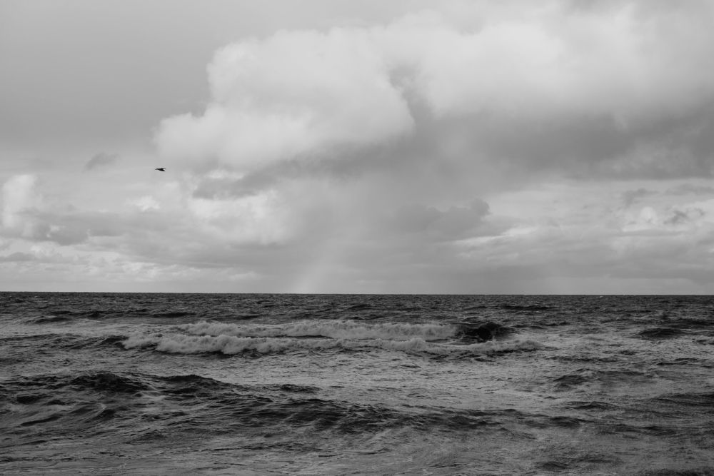 Photograph by Анастасия Жучкова