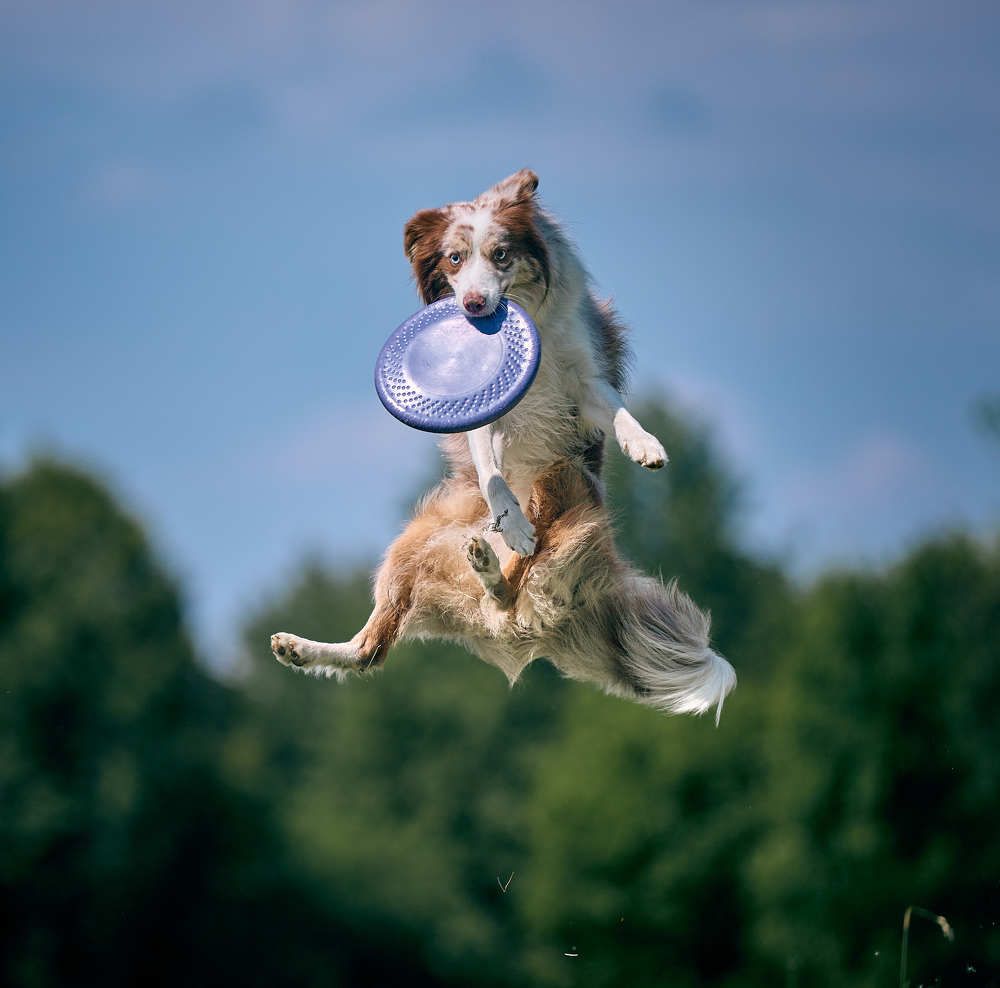 Photograph by Mikhail Khmelevskiy