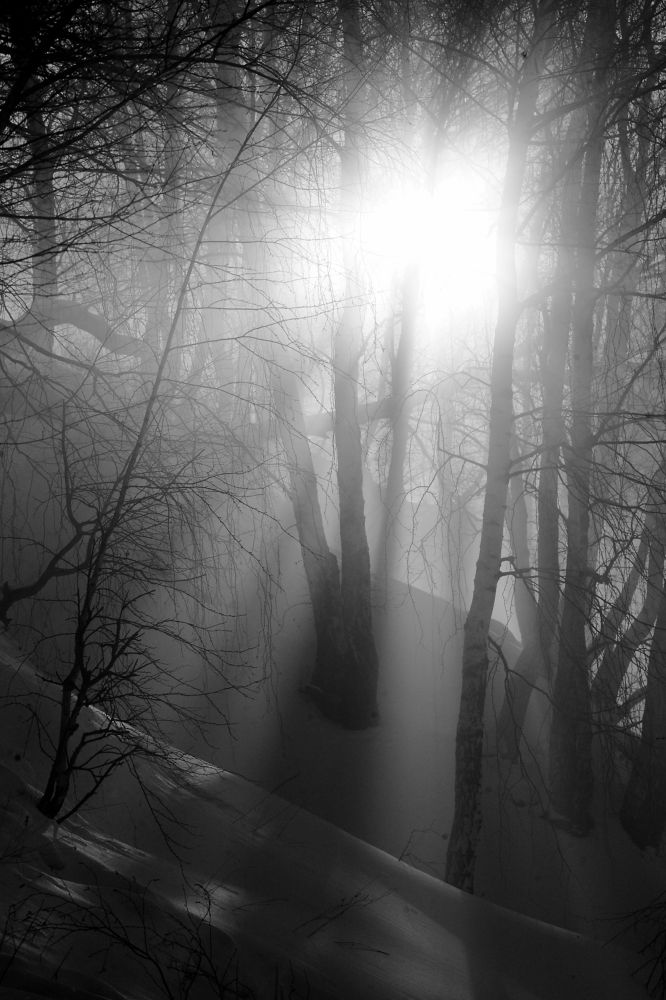 Photograph by Alexander Popoff