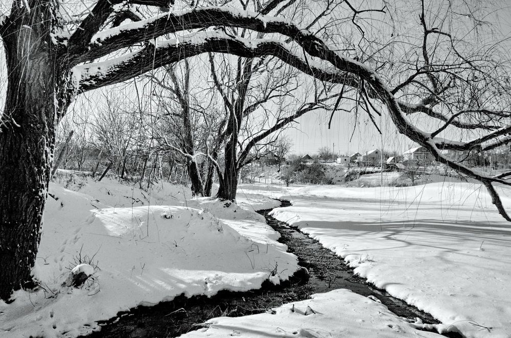 Photograph by Анатолий Святой