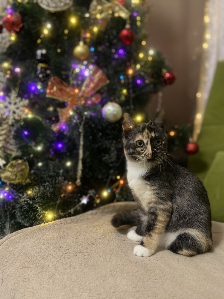 Photograph by Наталья Душакова