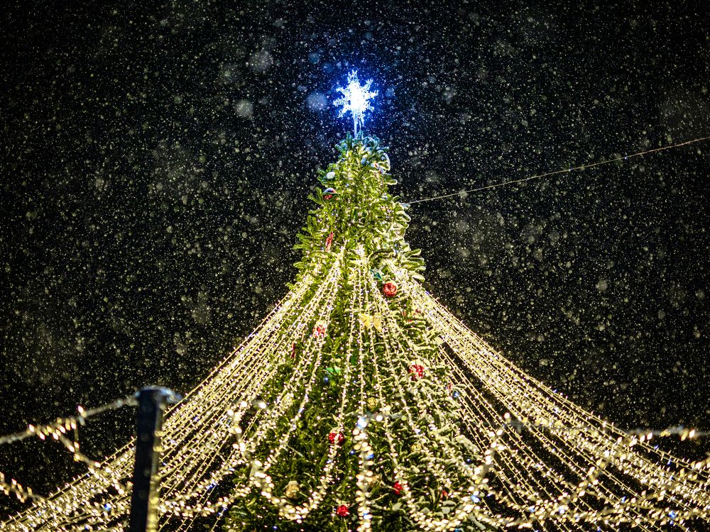 Photograph by Григорий Шишонков